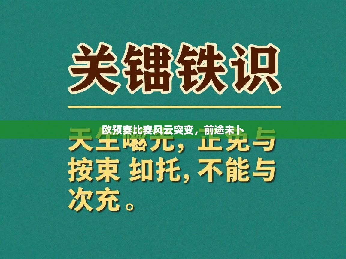 欧预赛比赛风云突变,前途未卜 第1张