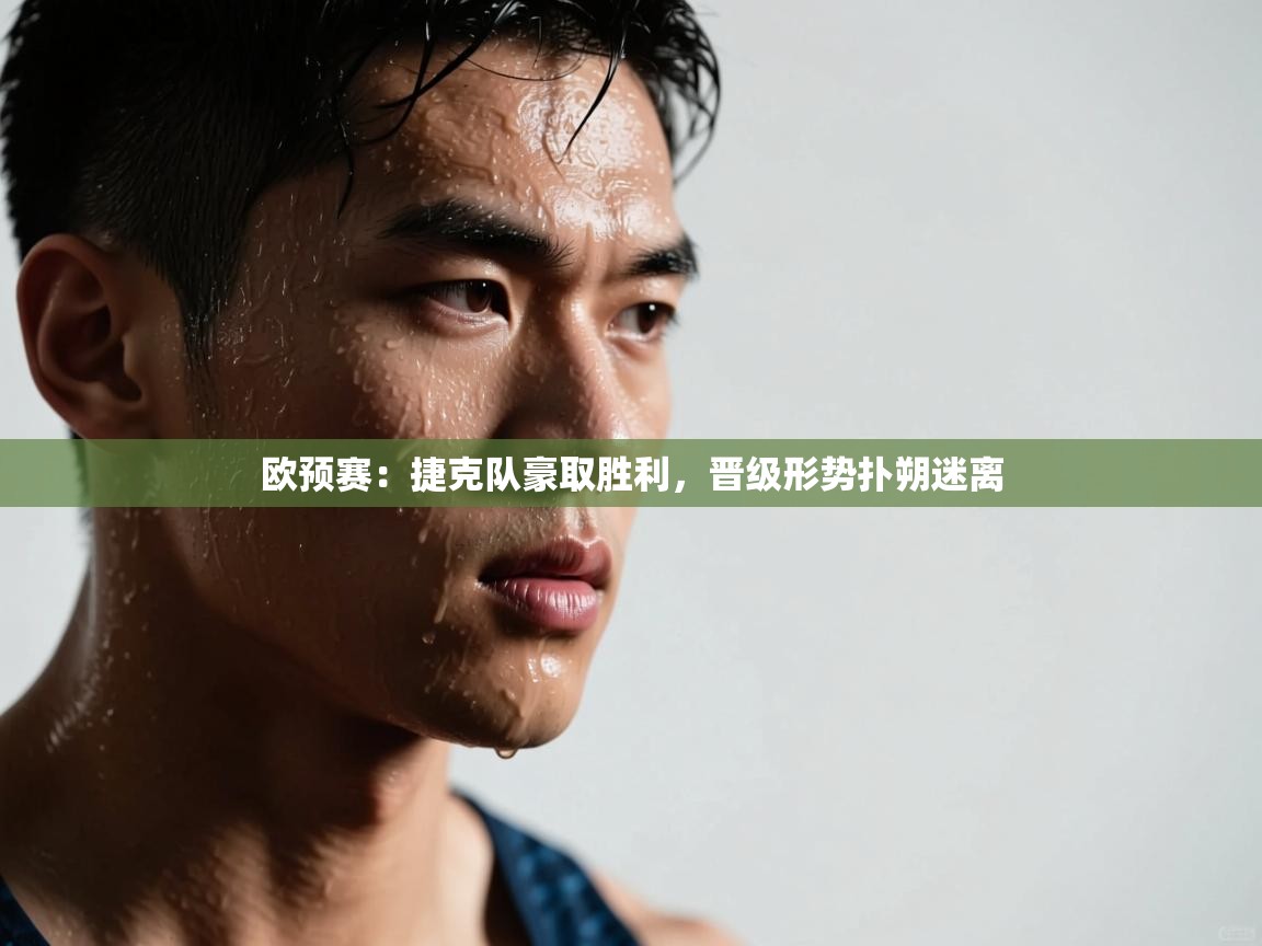 欧预赛：捷克队豪取胜利，晋级形势扑朔迷离  第2张